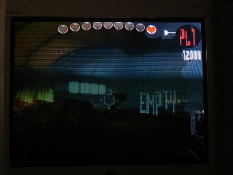 Wii Graphic Glitches (ATI Card overheating?) Now with screens Wii