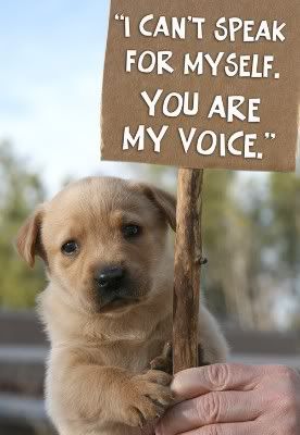 I can't speak. You are my voice. Pictures, Images and Photos