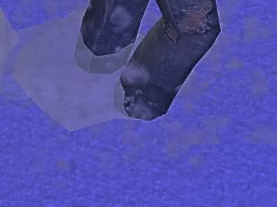 331.jpg