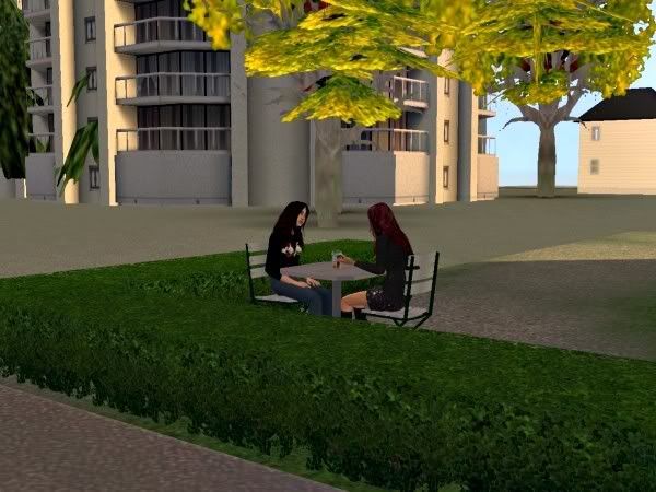 5317.jpg