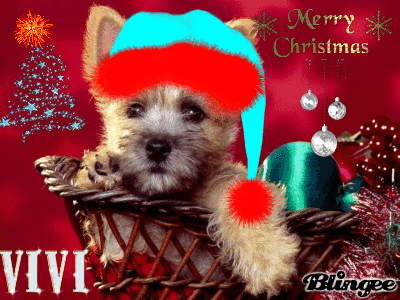  photo 541787720_933084_zpspcwhbb5z.gif