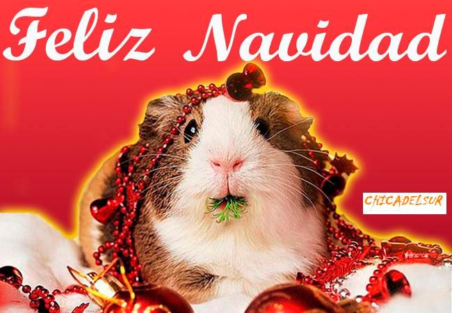 NAVIDADES ROEDORAS photo postales-navidad-originales-2_zpslpjujfs4.jpg