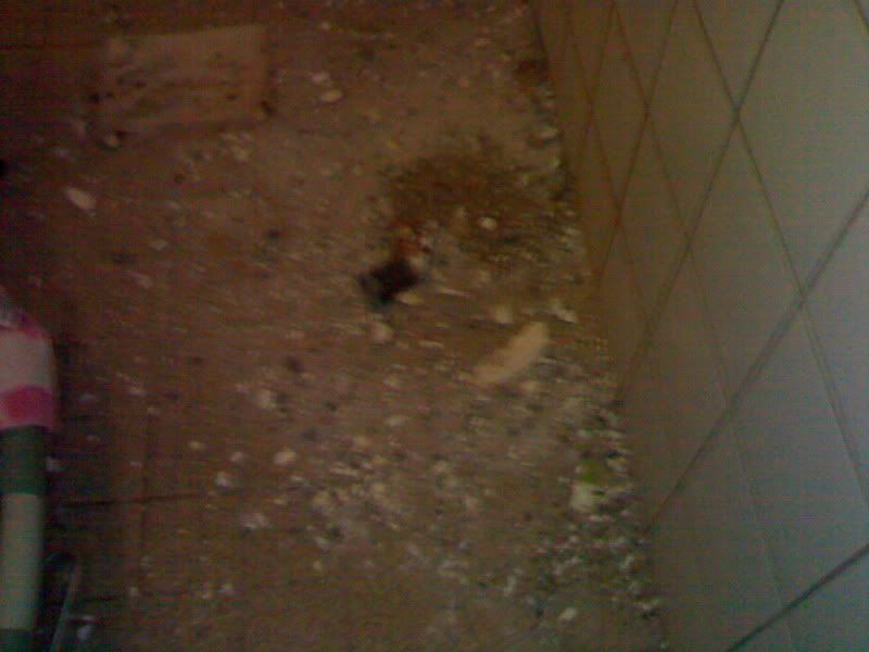 08012010299.jpg