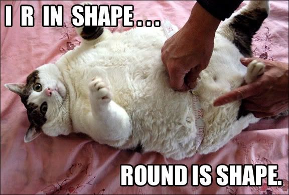 round_is_shape.jpg