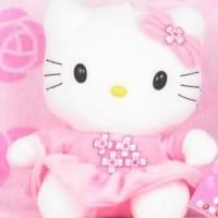 hello-kitty.jpg hello kitty image by peto_chan