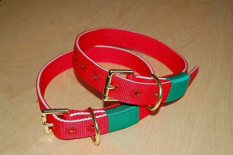 Wcollar1inch.jpg