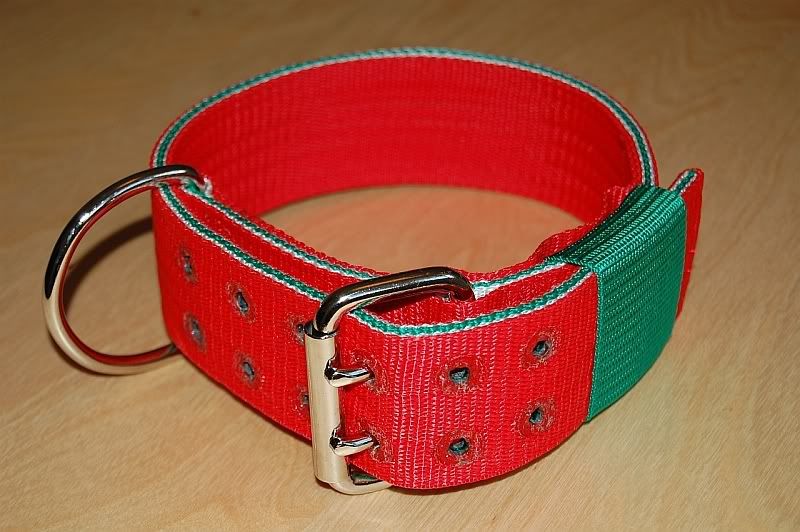 Wcollar2inch.jpg