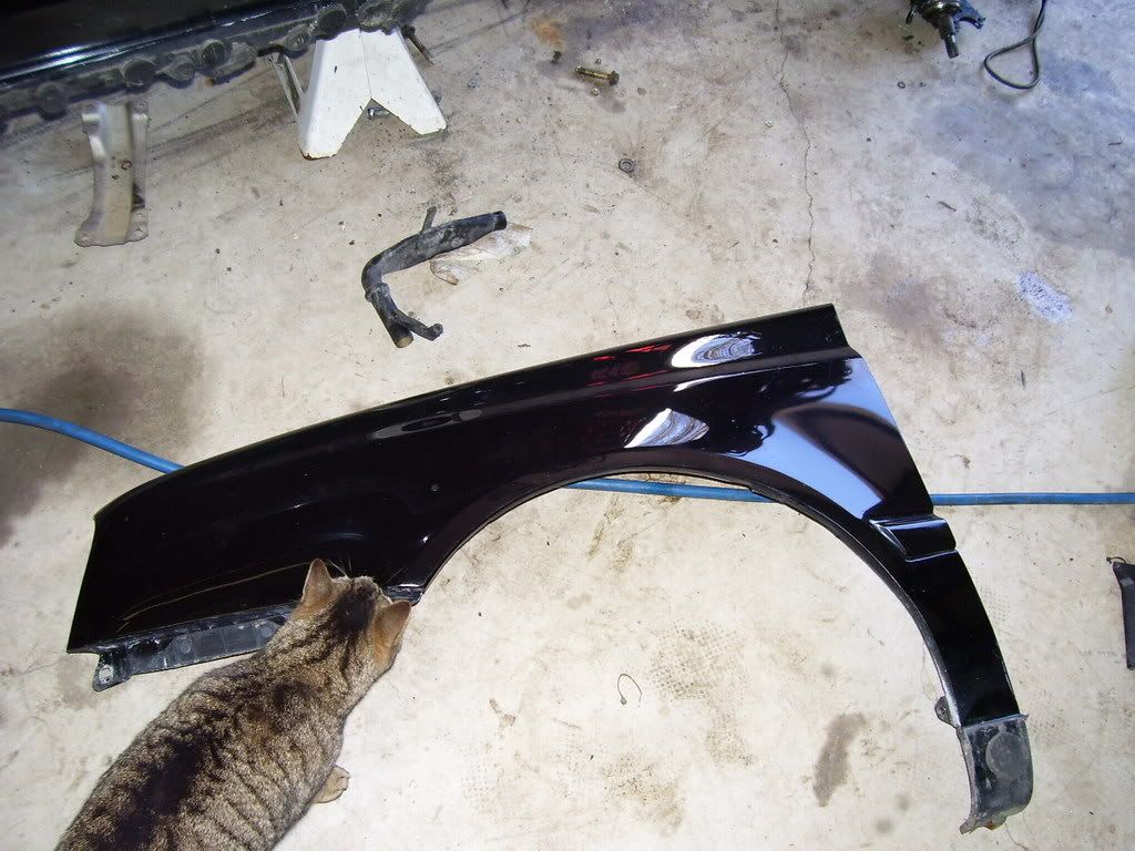 Fs parting out 98 jetta vr6 supercharged, mass VW Vortex