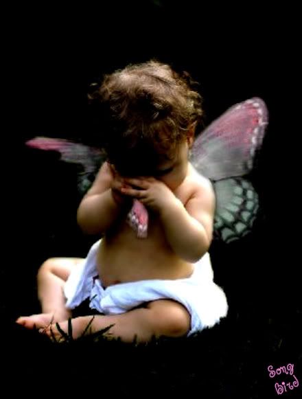 baby angel butterfly Pictures, Images and Photos