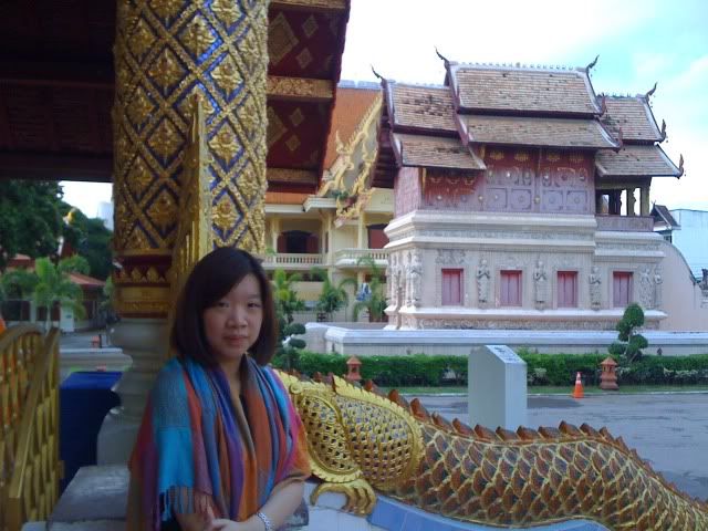 ประสพการณ์ผ่าตัดเนื้องอกเยื้อหุ้มสมองและไขกระดูกสันหลัง ตอนที่ 2