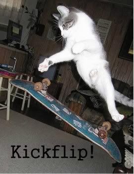 KickFlipKitty.jpg