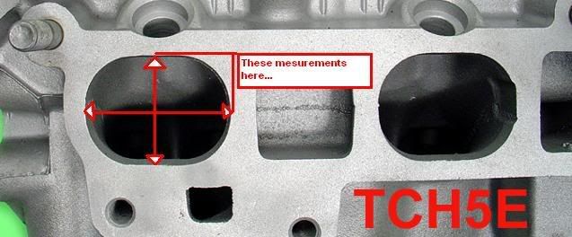 TCH5E_close.jpg