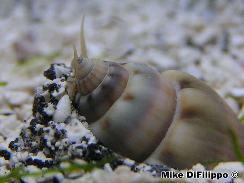 PICT0082.jpg