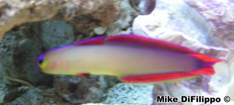 PICT0100.jpg
