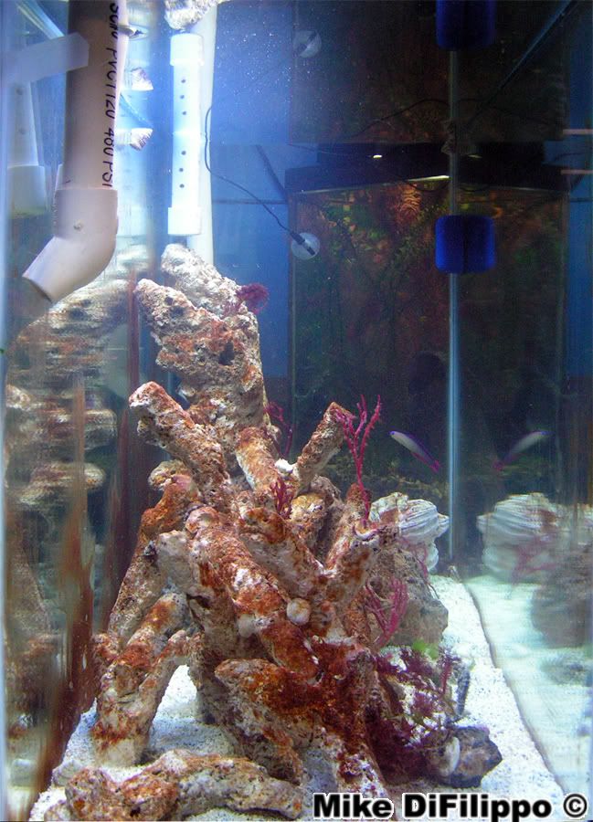 PICT0919.jpg