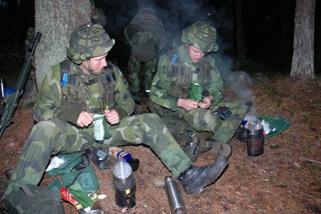 swedish army surplus