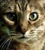 Picture of Mue Picture of Mue