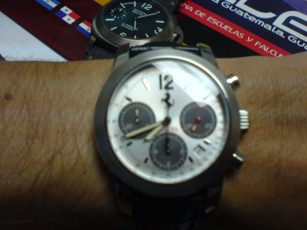 DSC02136.jpg