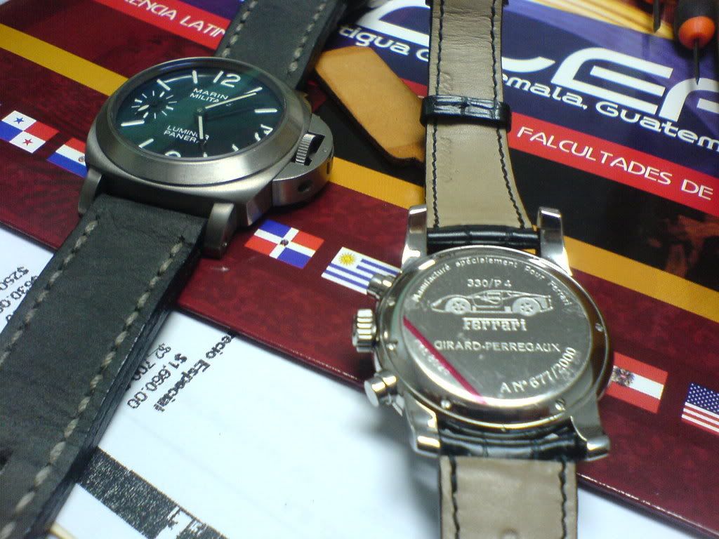 DSC02137-1.jpg