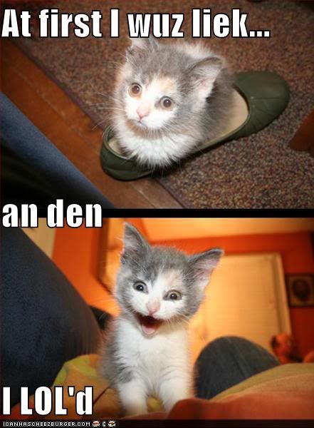 [Image: funny-pictures-kitten-shoe-loled.jpg]
