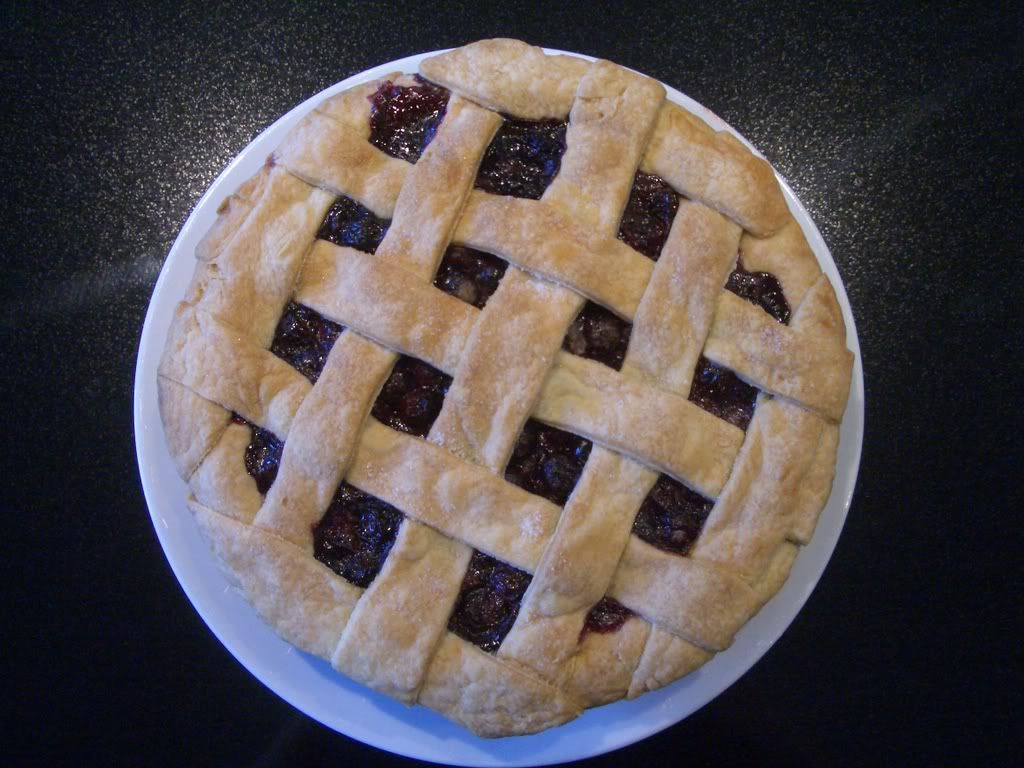 knitted pie