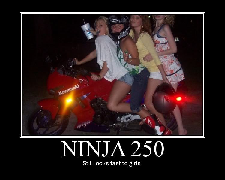 ninja250.jpg