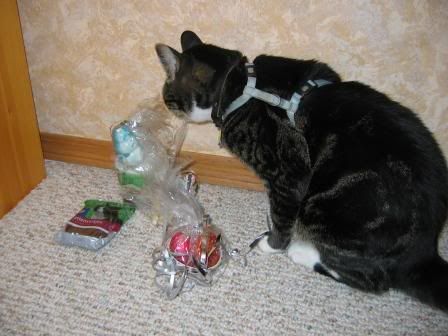 chewingthewrapping.jpg