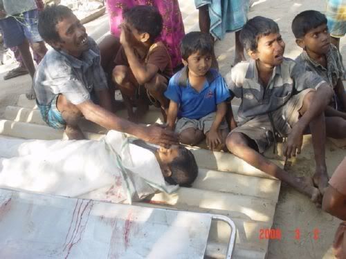 srikanka tamil children death Pictures, Images and Photos