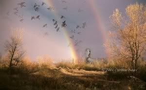http://i166.photobucket.com/albums/u81/AZWhitefeather/Fancy%20Feathers/2006PijattheRainbowBridge.jpg