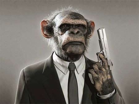 pictures of monkeys with guns. Monkeys with guns scare me.