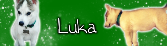 Luka.png