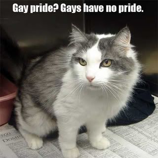 http://i166.photobucket.com/albums/u81/anniecusrex/caturday_gay.jpg