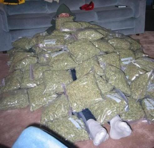 weedPillow.jpg