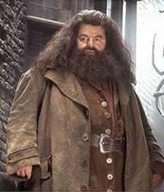 Professor Rubeus Hagrid Avatar