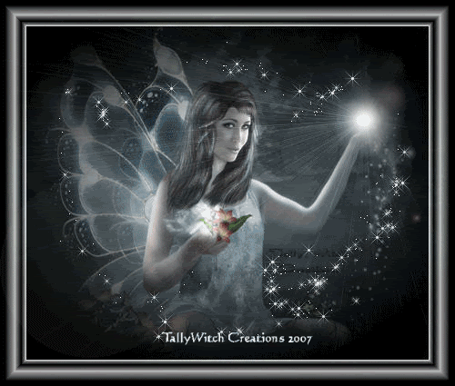 fairy graphics fairies myspace orkut
