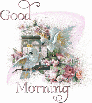 Good Morning Pictures, Comments, Images, Graphics