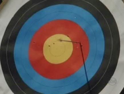 robin5.jpg
