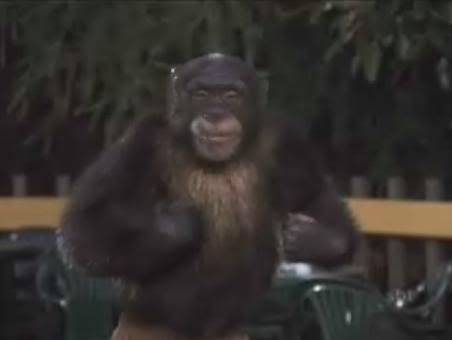 supermonkey5.jpg