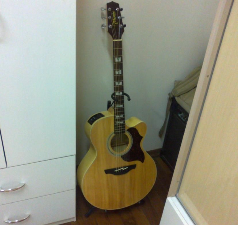 takamine1_zpsff9db280.jpg