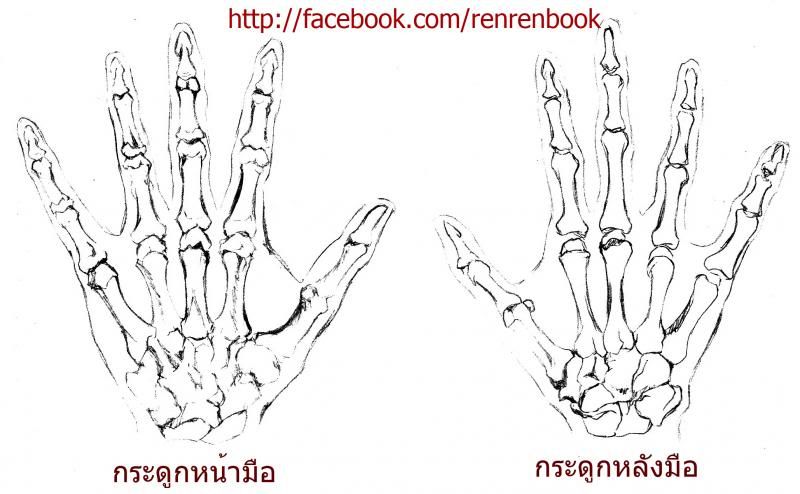 Sketch, Hands