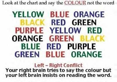 left, right brain