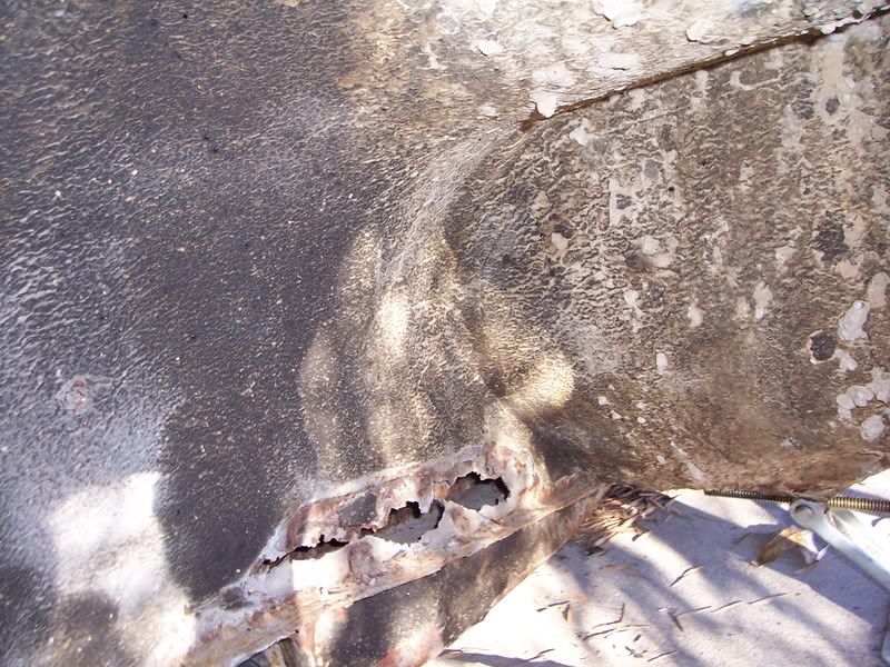 100_1648.jpg