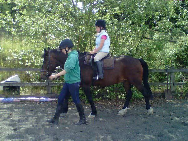 Skye And Doms New Pony Marty Riding Pics Pic Heavy The Horse Forum