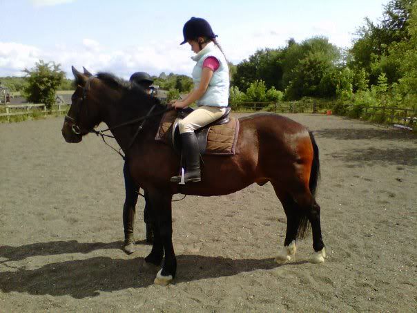 Skye And Doms New Pony Marty Riding Pics Pic Heavy The Hors