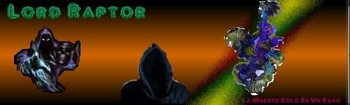 Imagen enviada