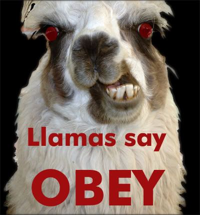 http://i166.photobucket.com/albums/u87/Pumbli/llama-OBEY.jpg