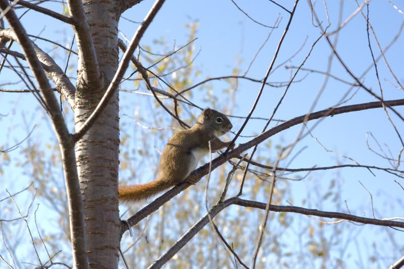 IMAGE: http://i166.photobucket.com/albums/u88/gef_2007/potn/img_9039.jpg