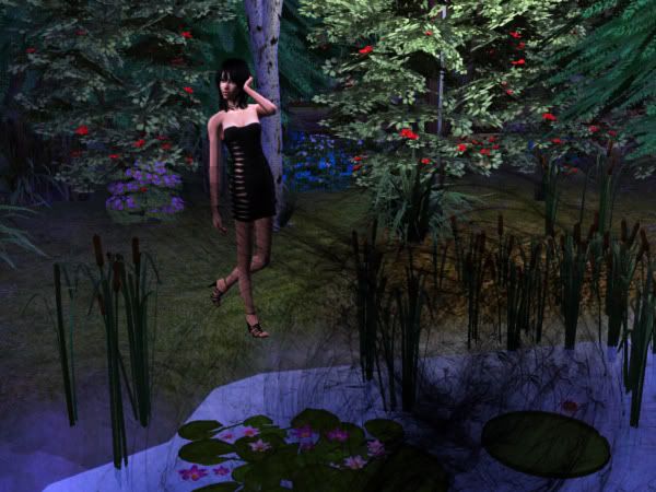 snapshot_368bbab7_96efcc24.jpg