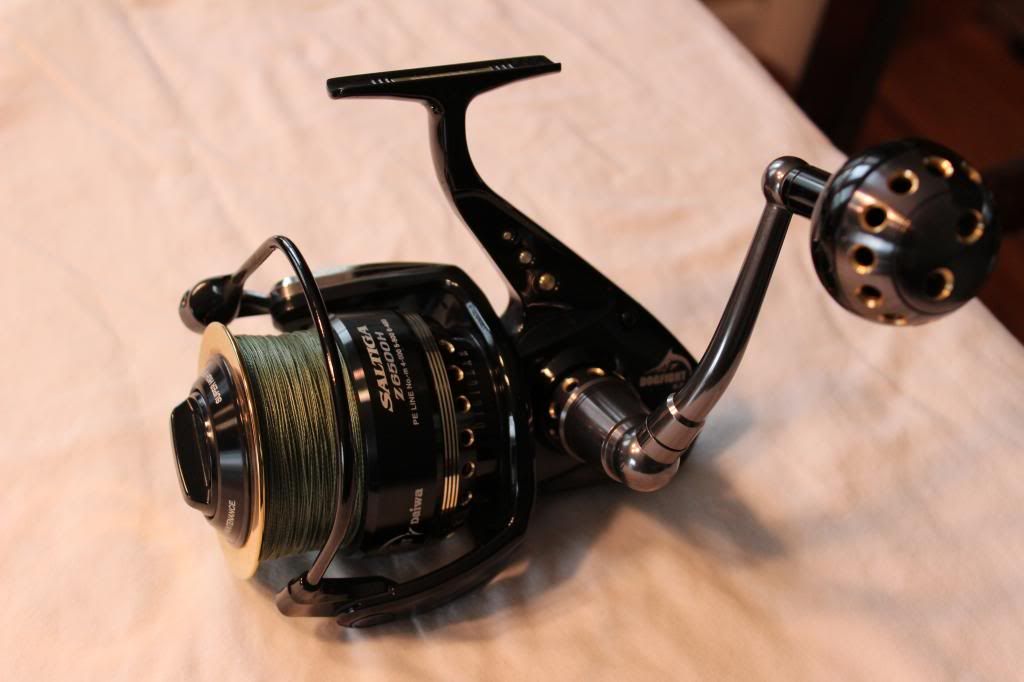 daiwa saltiga dogfight 6500