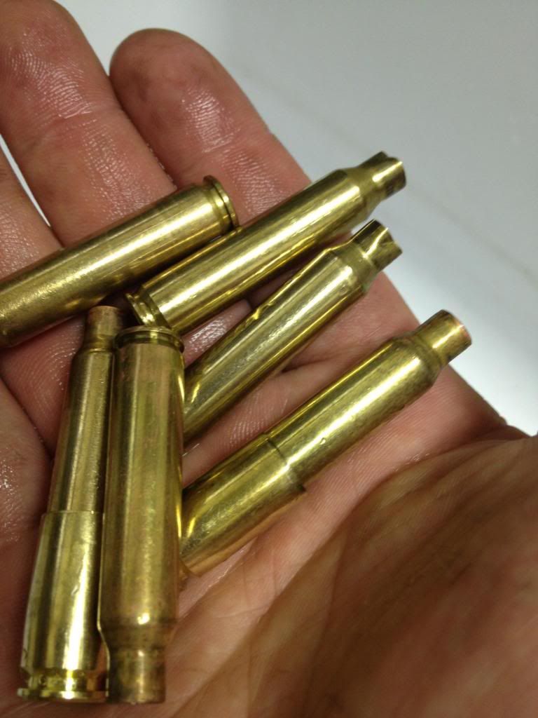 Citric Acid Cleaning for Brass Maryland Shooters